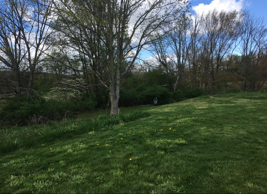 Hole 12 (aka the tractor basket)