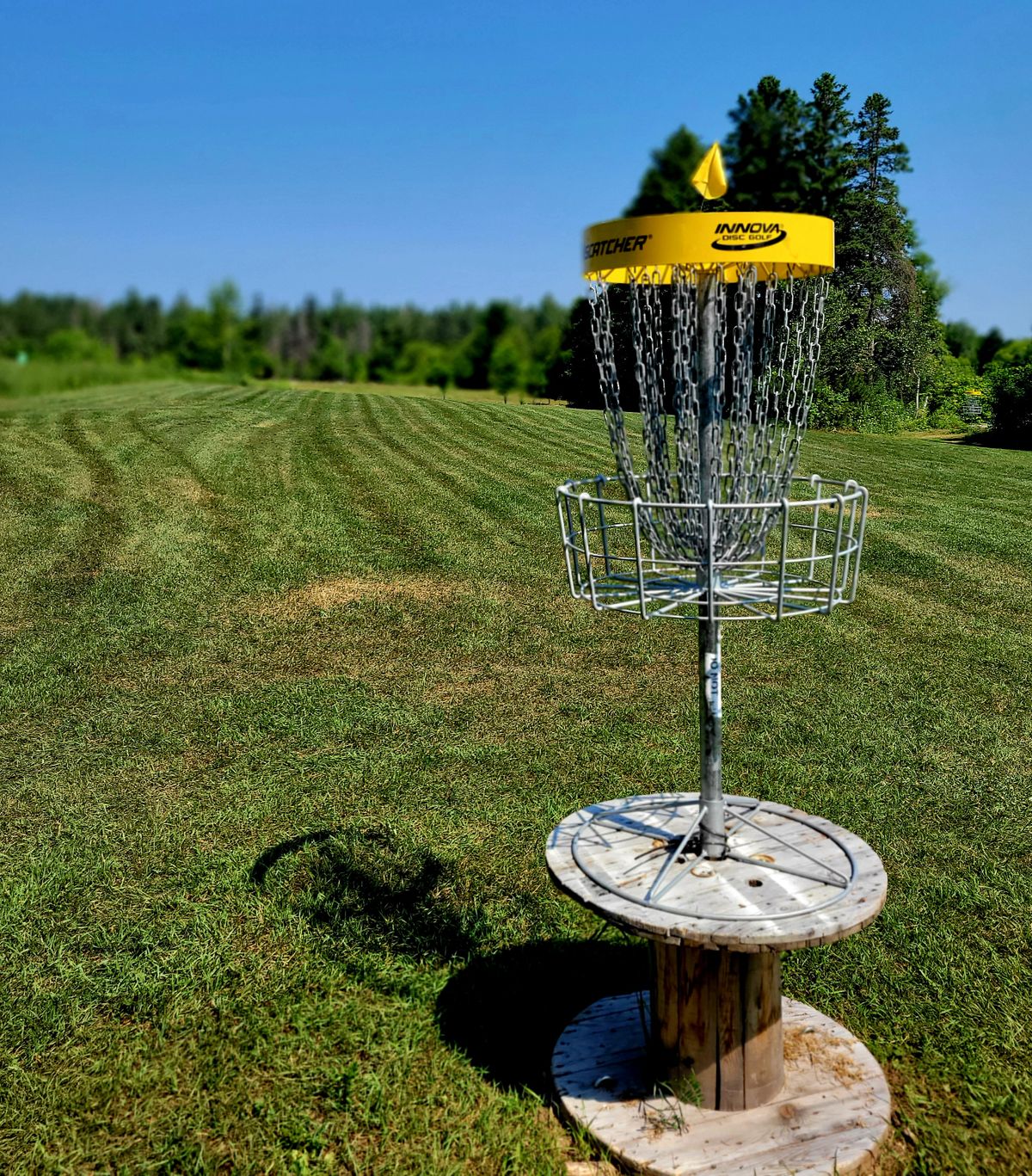 Basket 13 looking North back toward Tees.