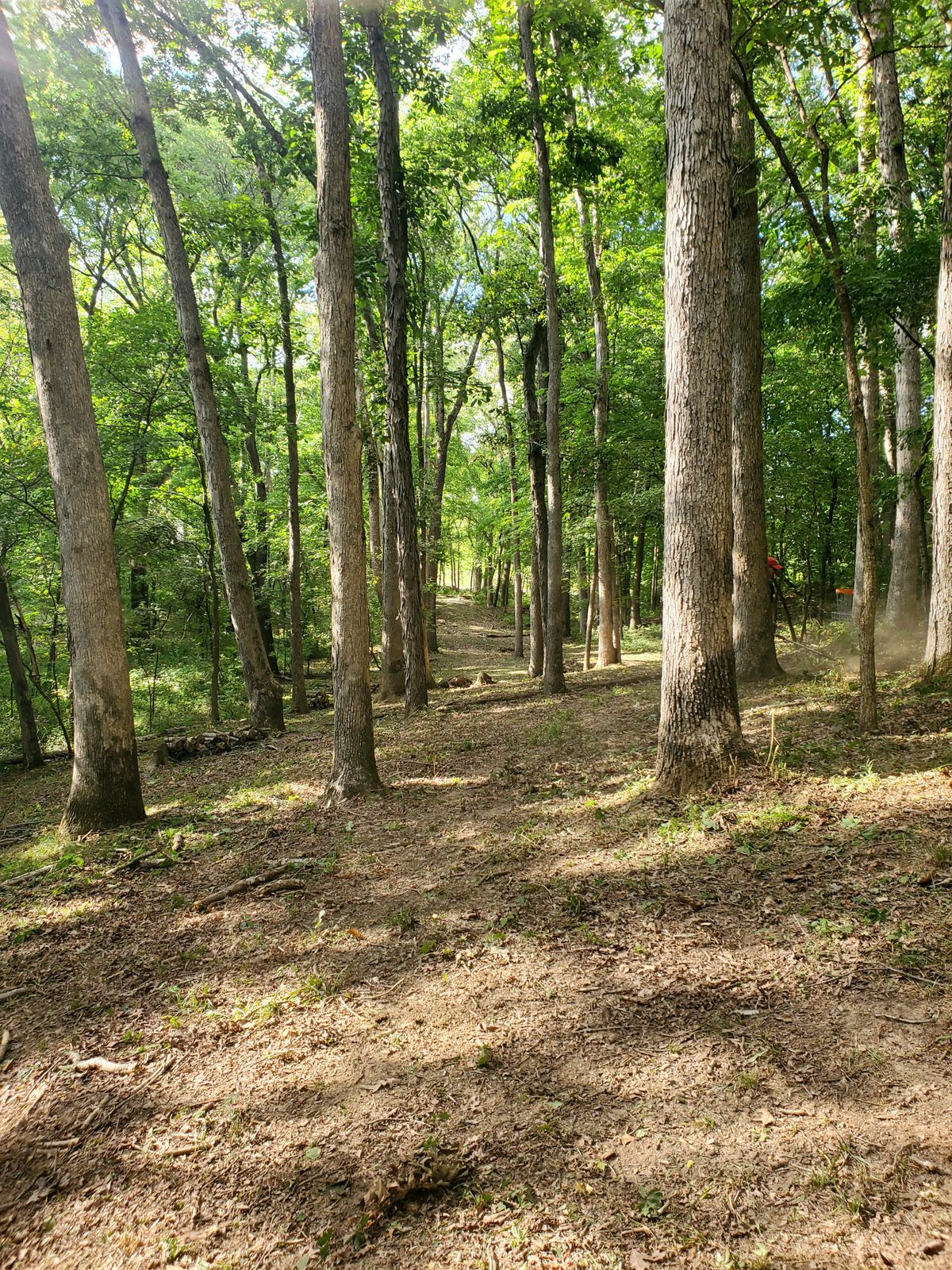 Looking back from the pin on hole 5