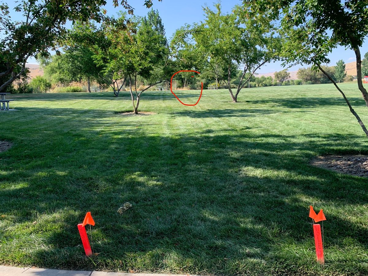 Hole 3. Just past the pathway in the brush.