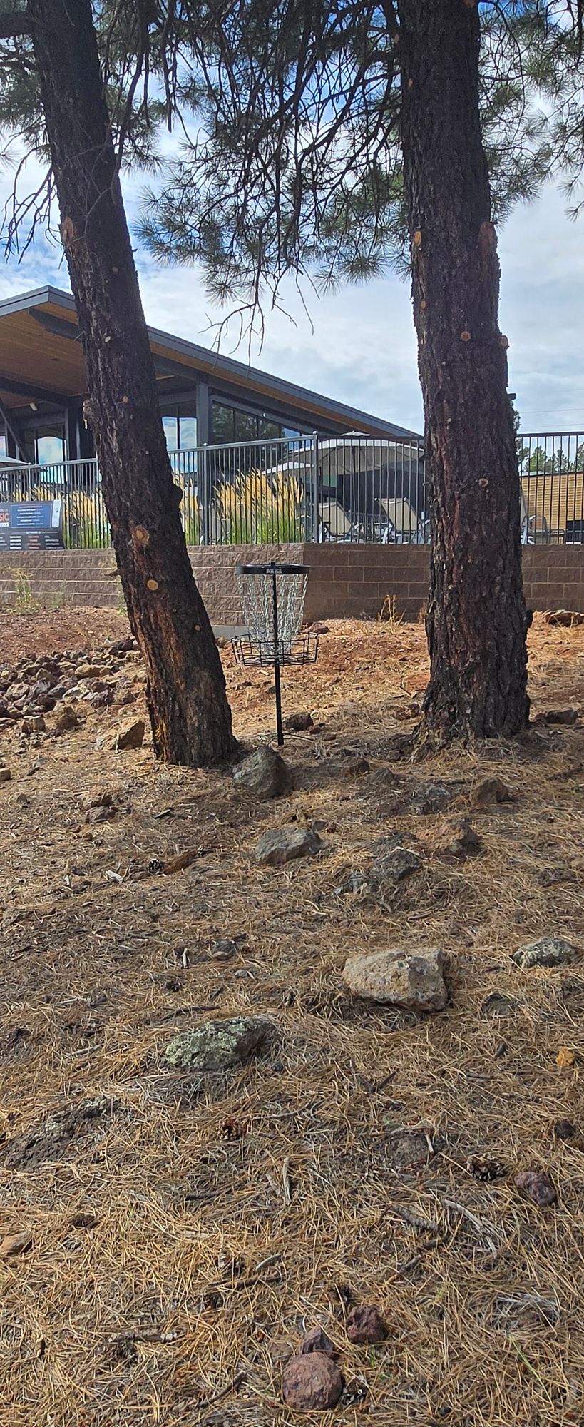 Hole 5