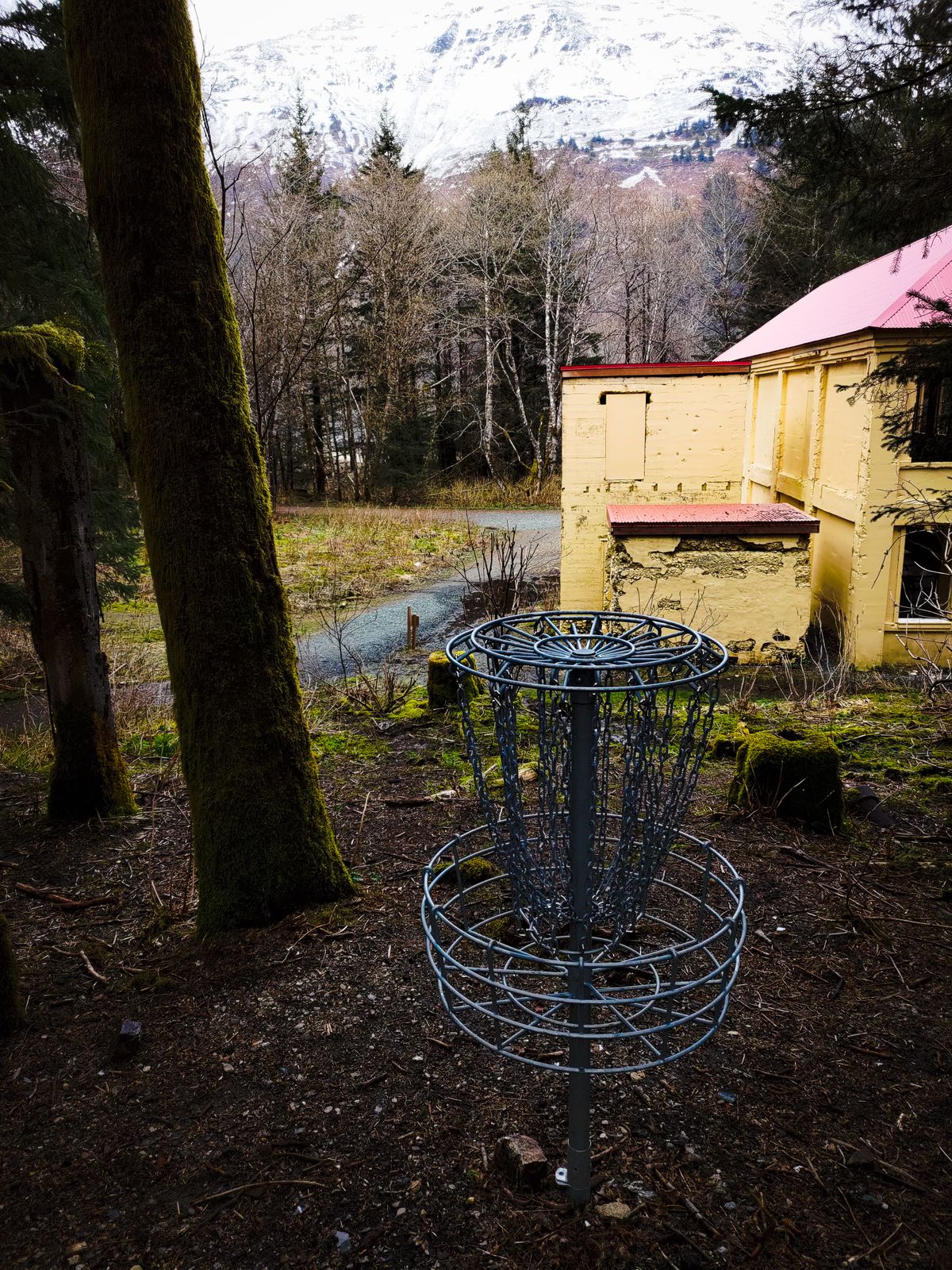 From the basket of Hole 7