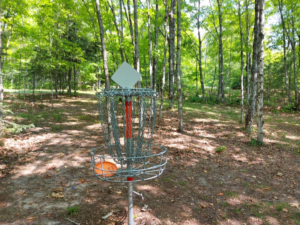 Reverse back up the fairway on hole 3.🍁🪵👍🍁