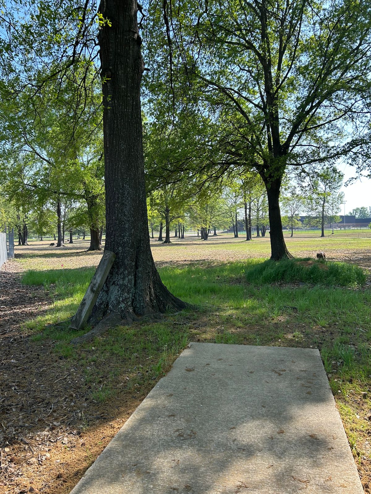 Hole 5