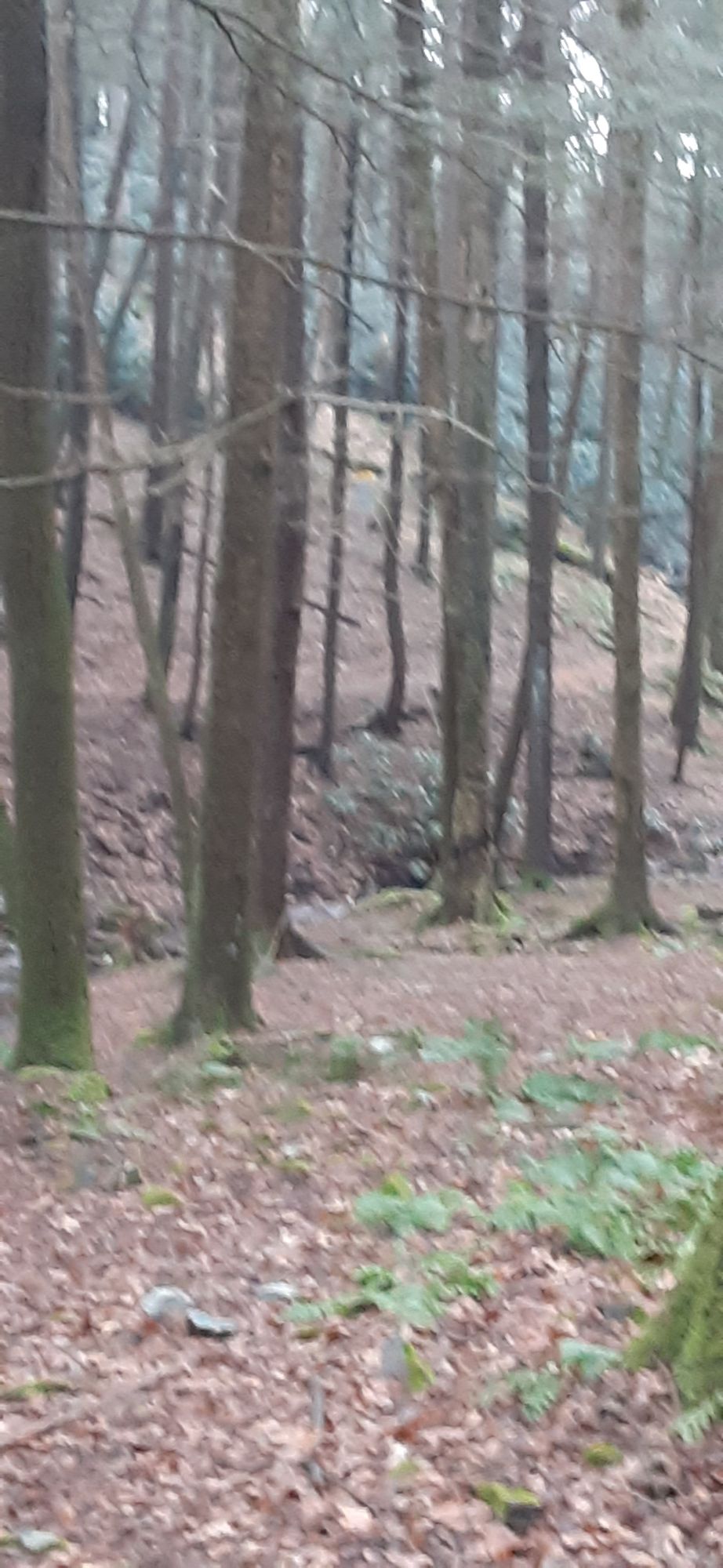 Hole 3 Tee