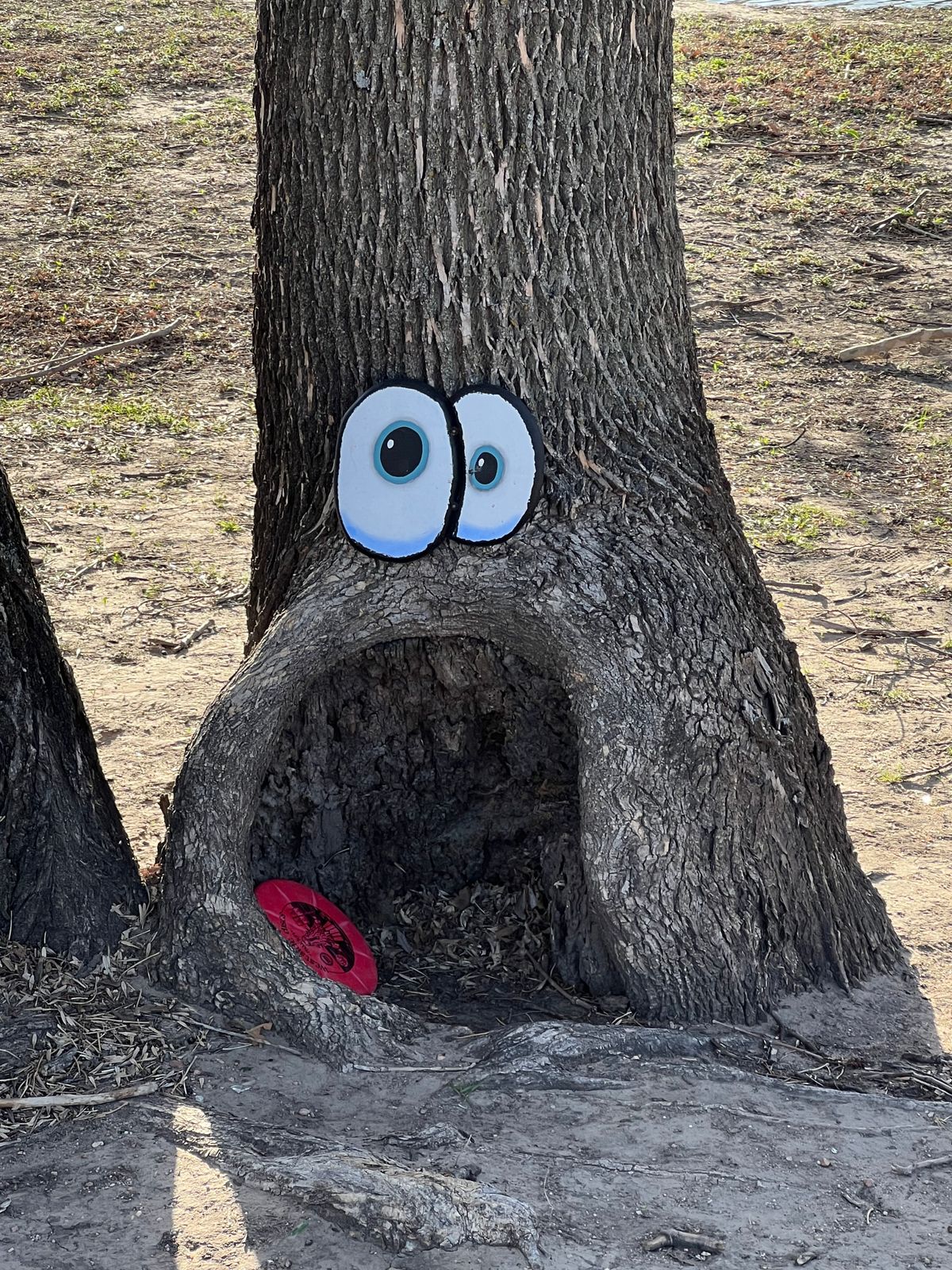 Cookie Monster on Hole #15
