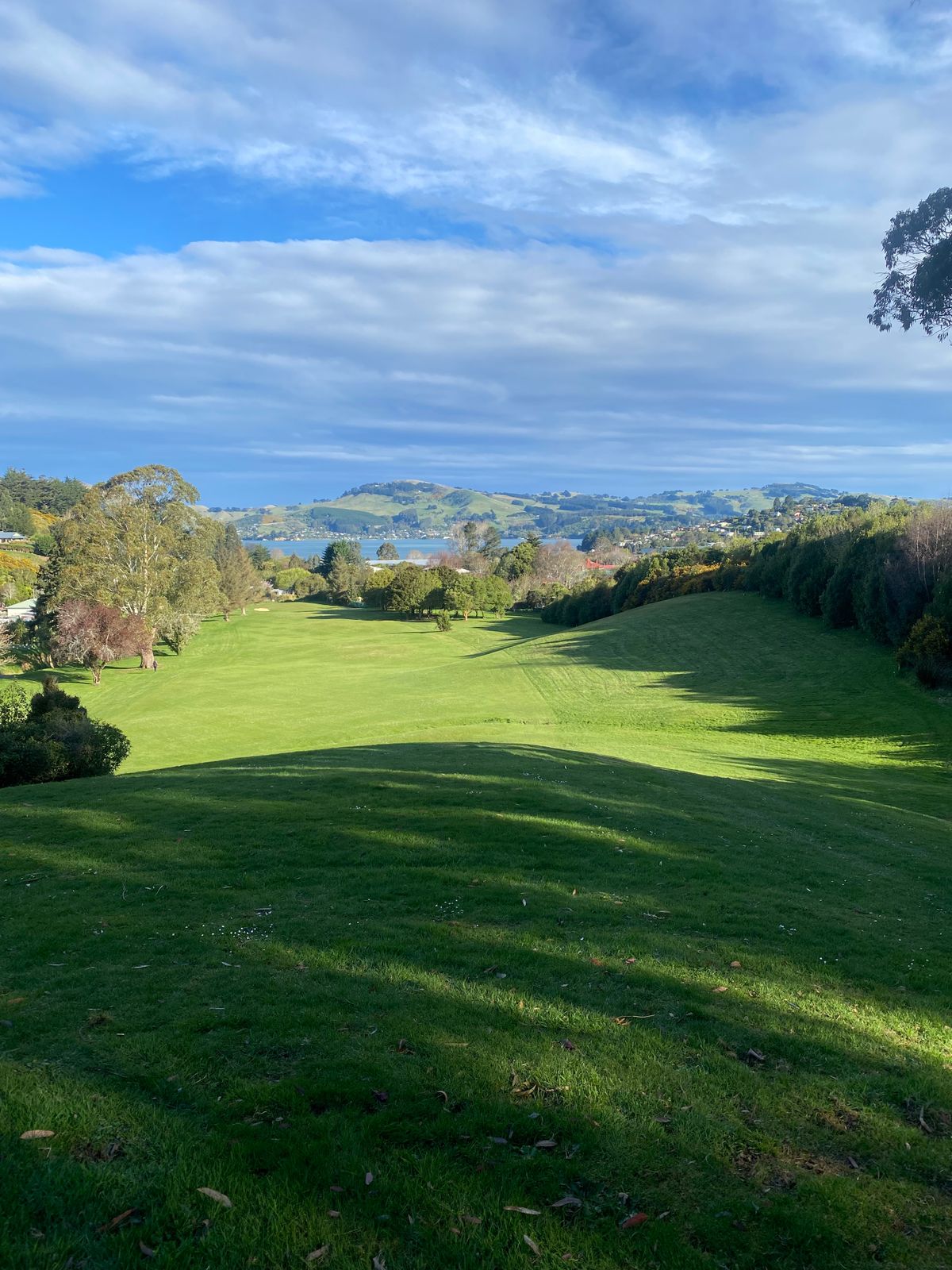 Hole 15 from the tee