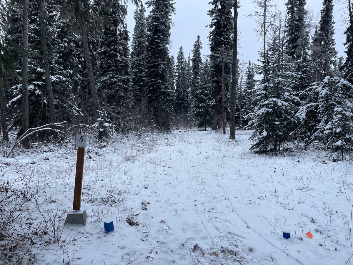 Hole 5 tee pad