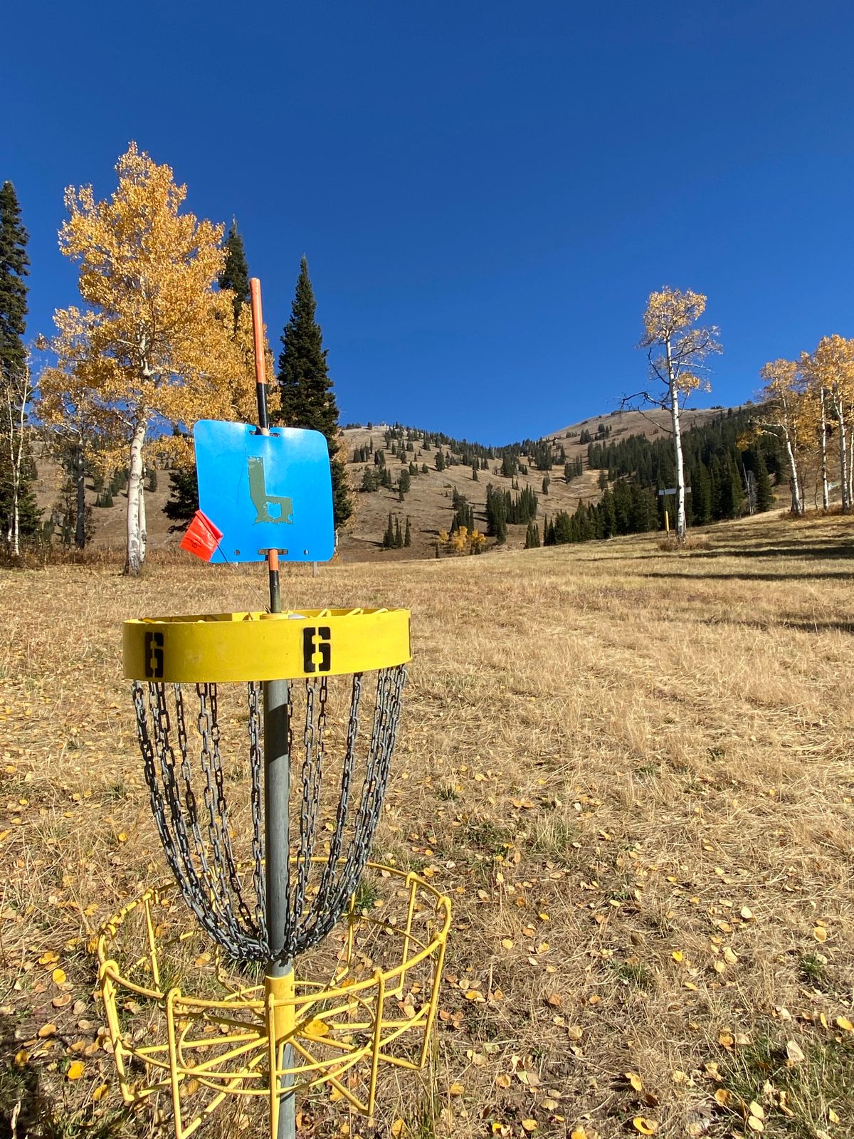 Hole #6