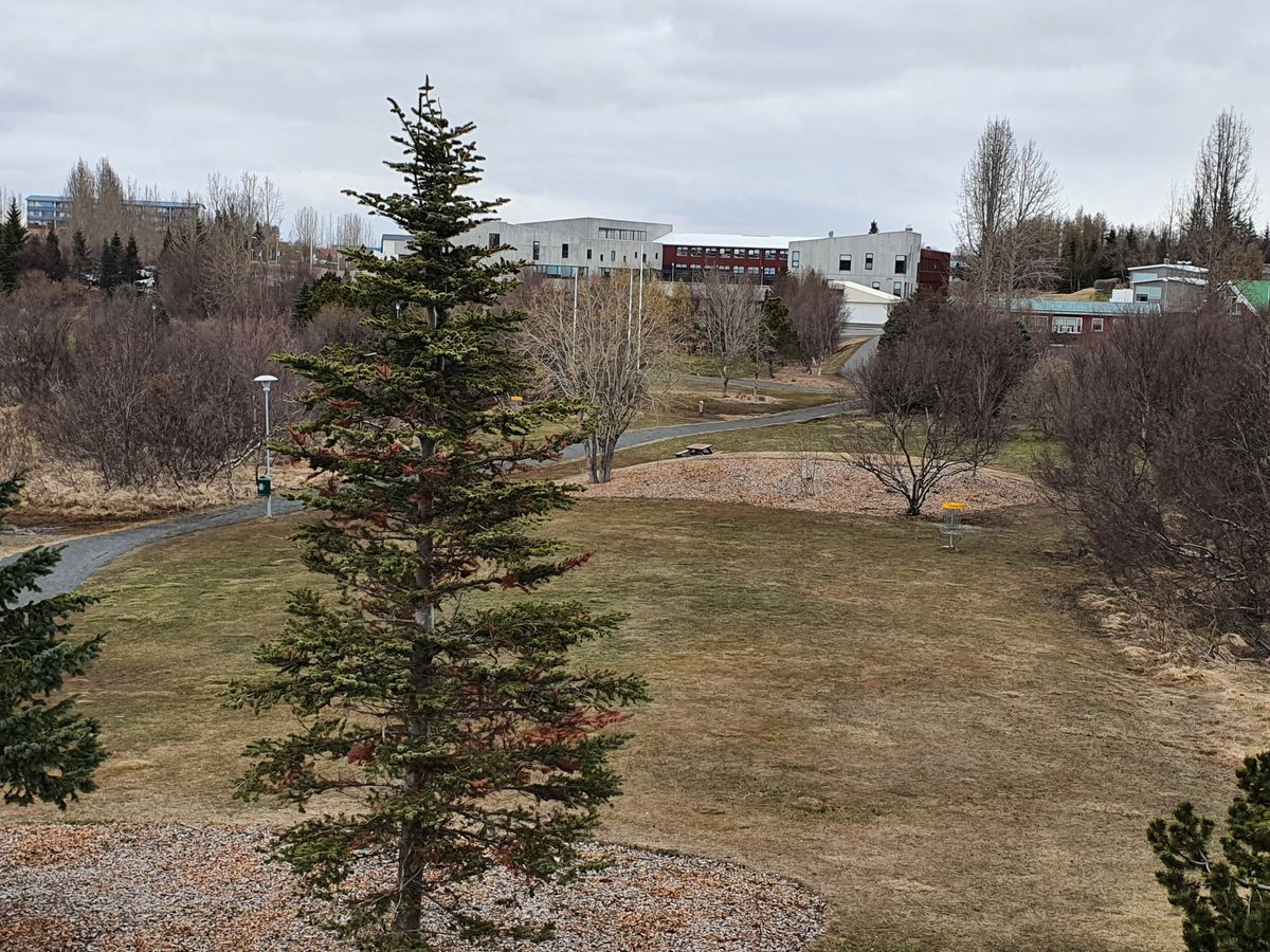 Pictures of the course layout, conditions in May 2021