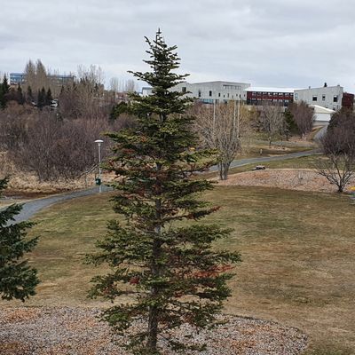 Pictures of the course layout, conditions in May 2021