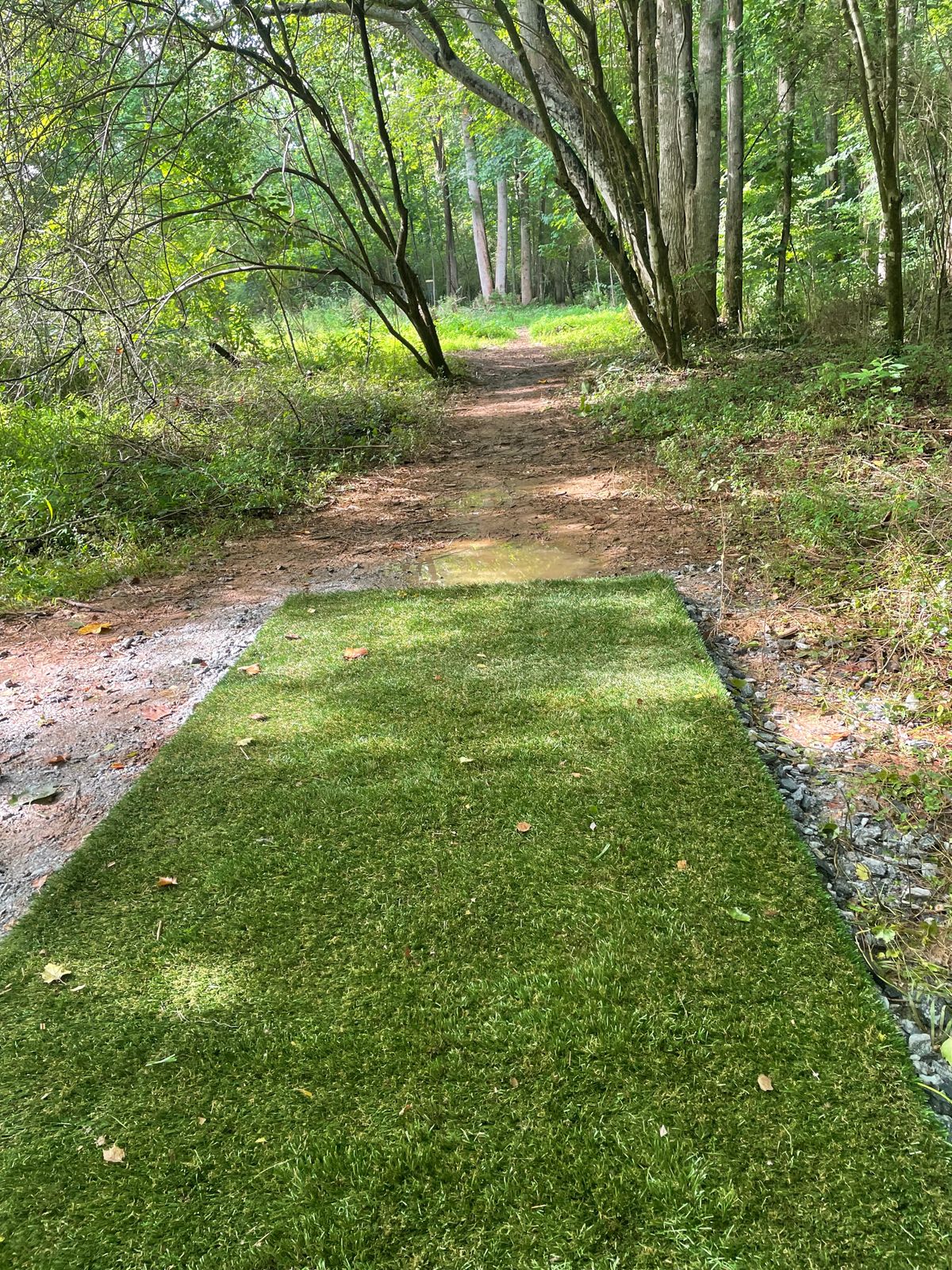 Hole 13 teepad
