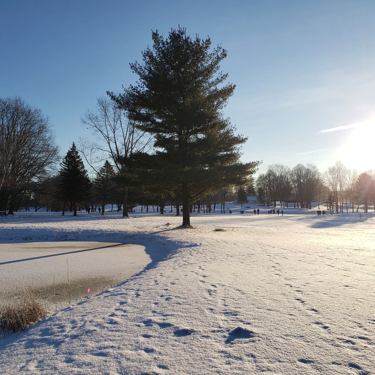 Right side of hole 13 pond winter 2022