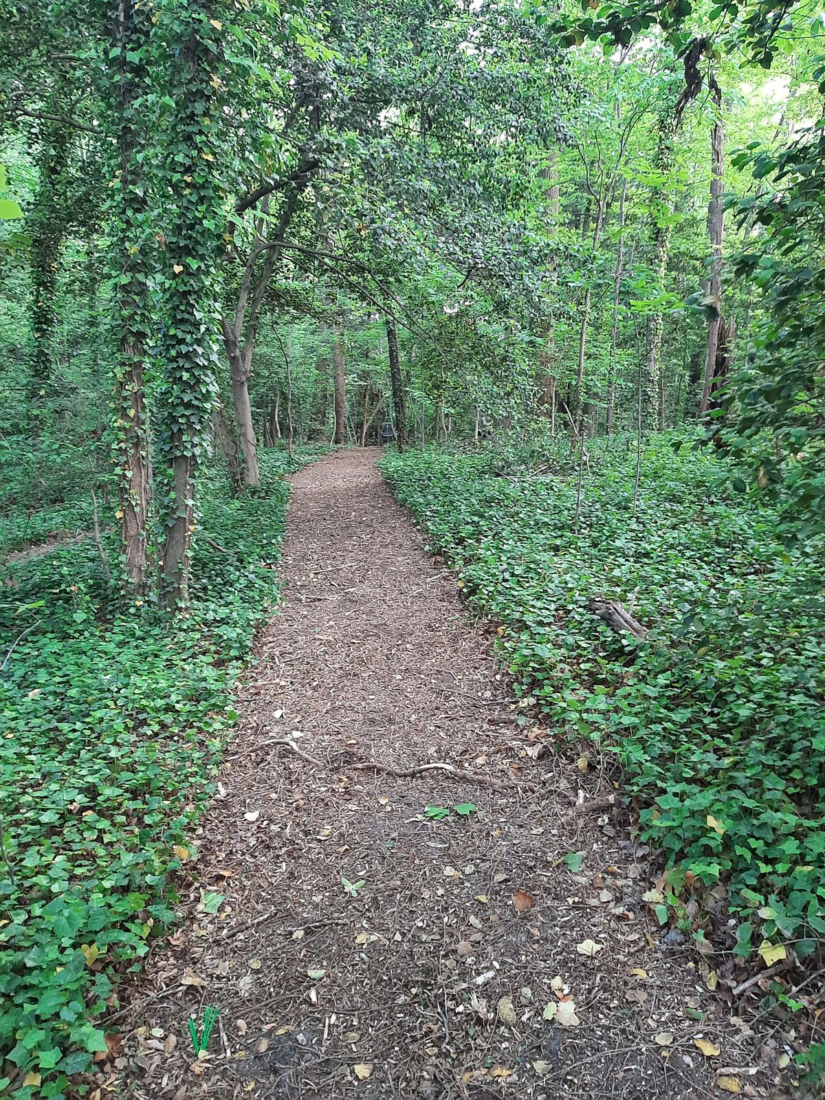 Hole 13 Par 3 Layout Tee