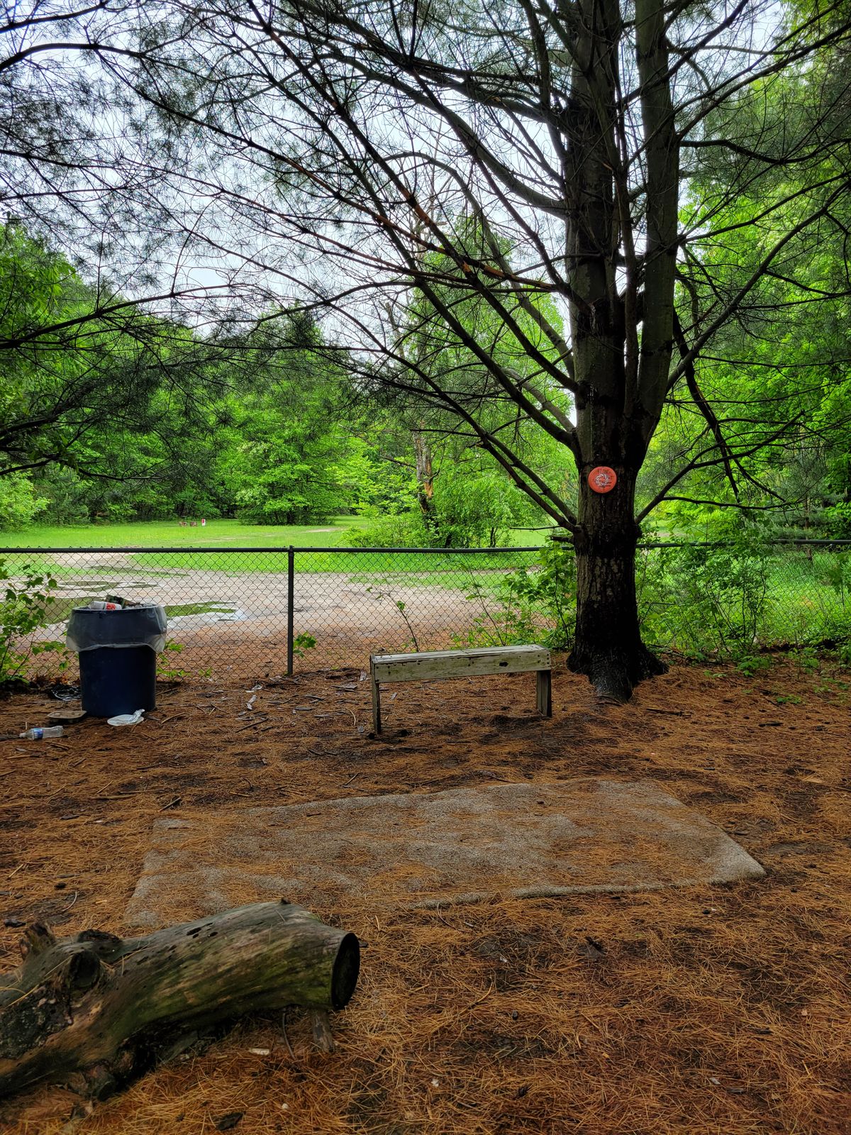 Hole #4