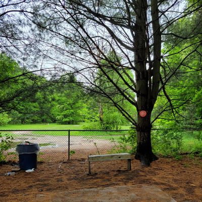 Hole #4