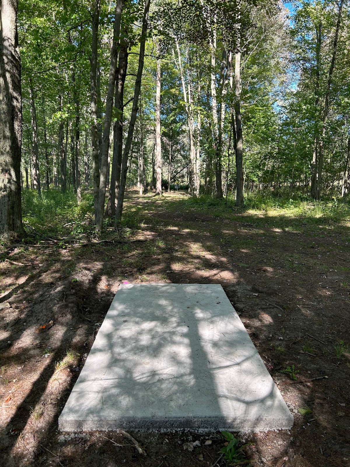 Hole 4