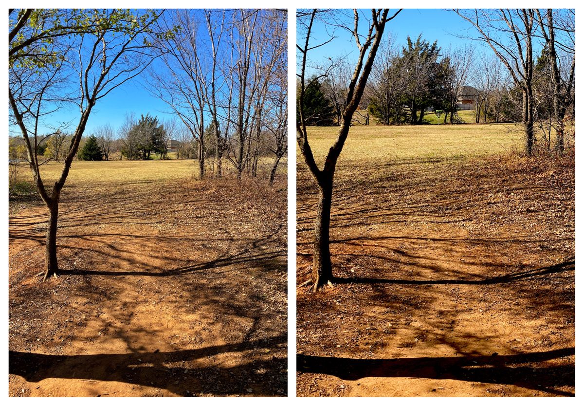 #11 Red Tee Throwing west southwest