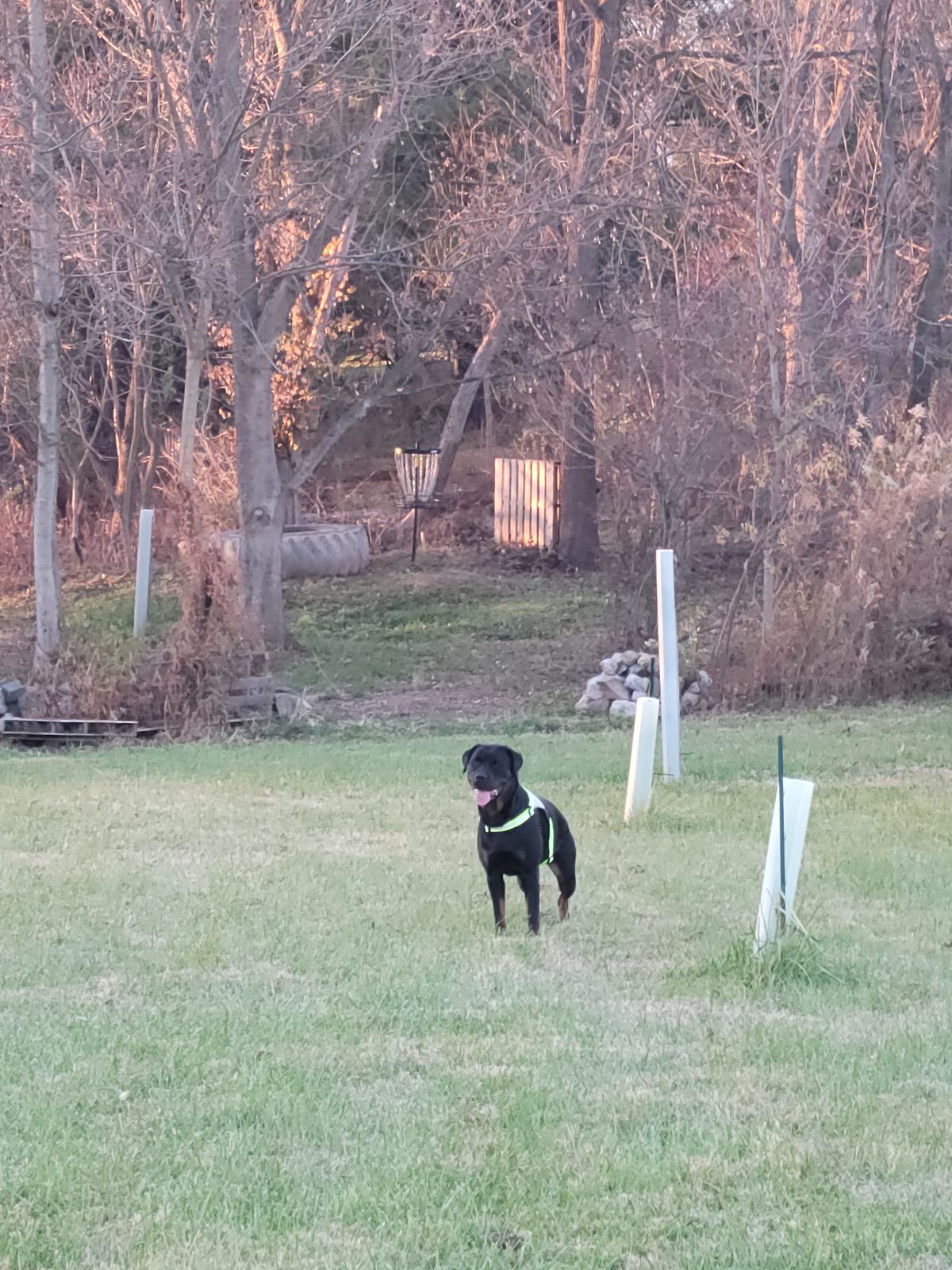 Hole 5 into the woods islandhole