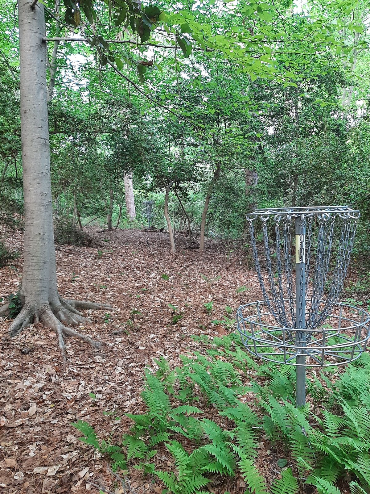 Hole 10 Approach B Pin
