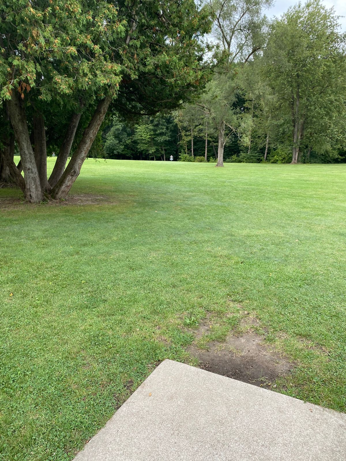 From hole 8 short