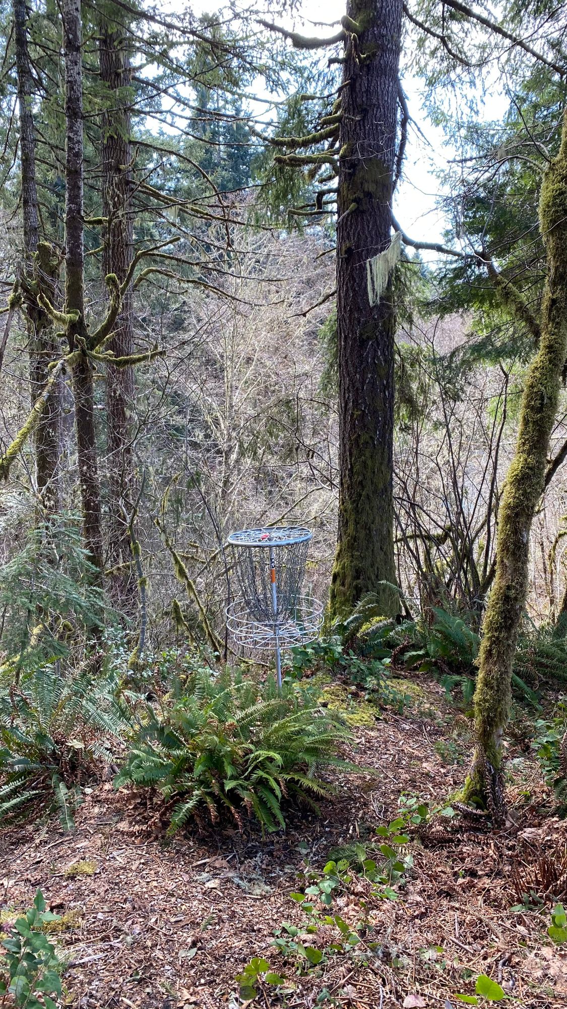 Hole 5