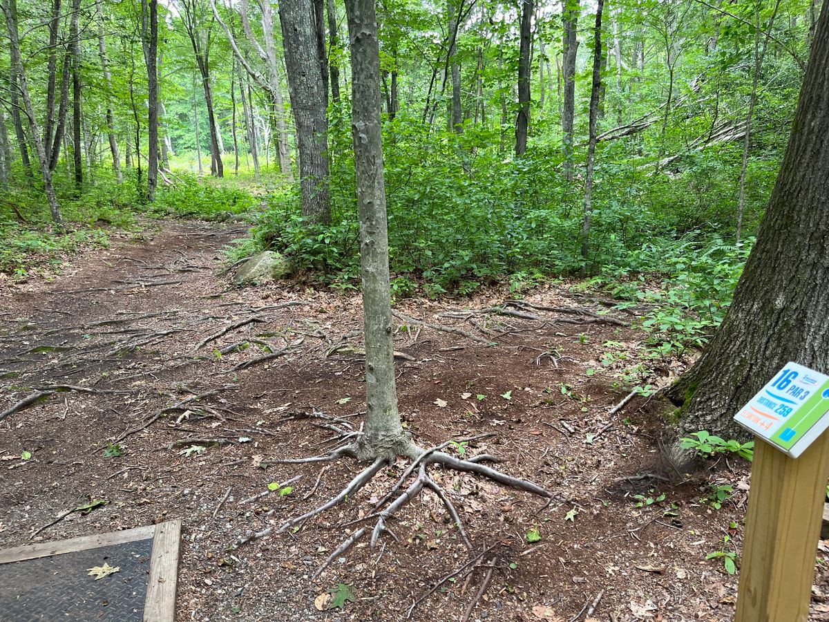 Hole 16