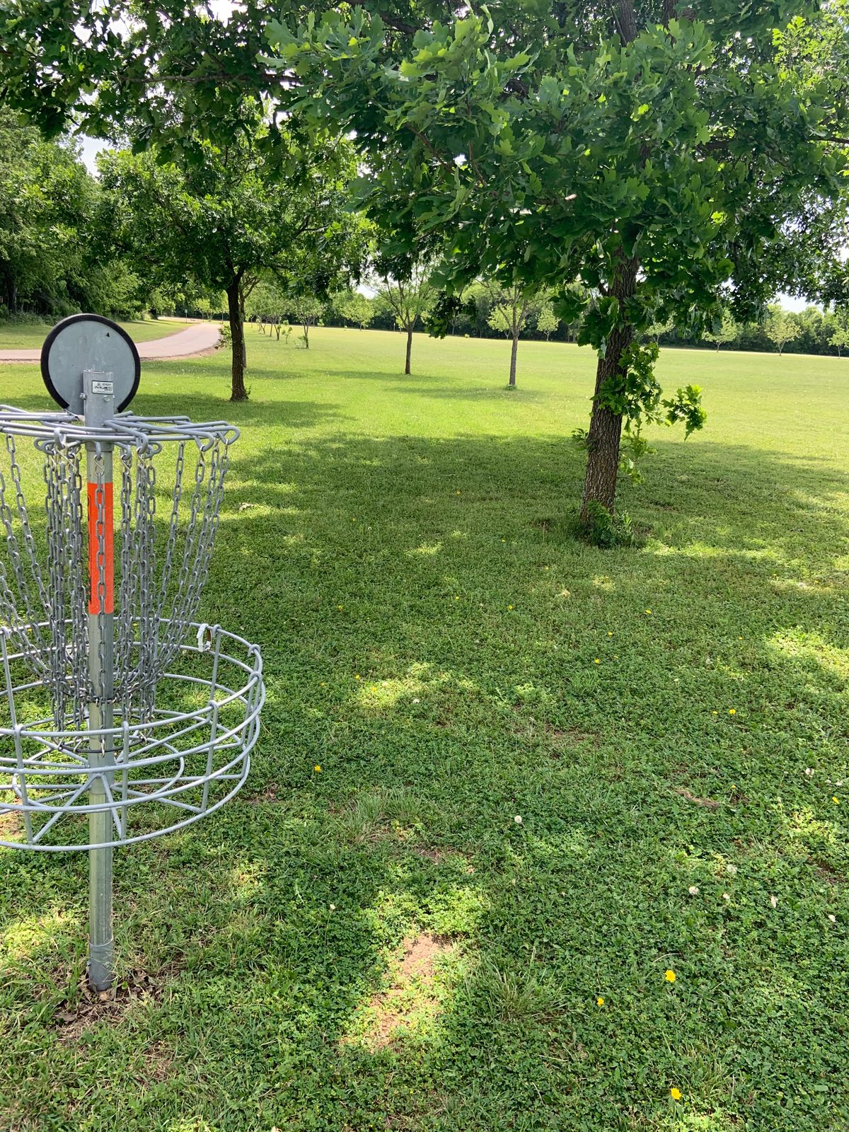 View from 6 basket