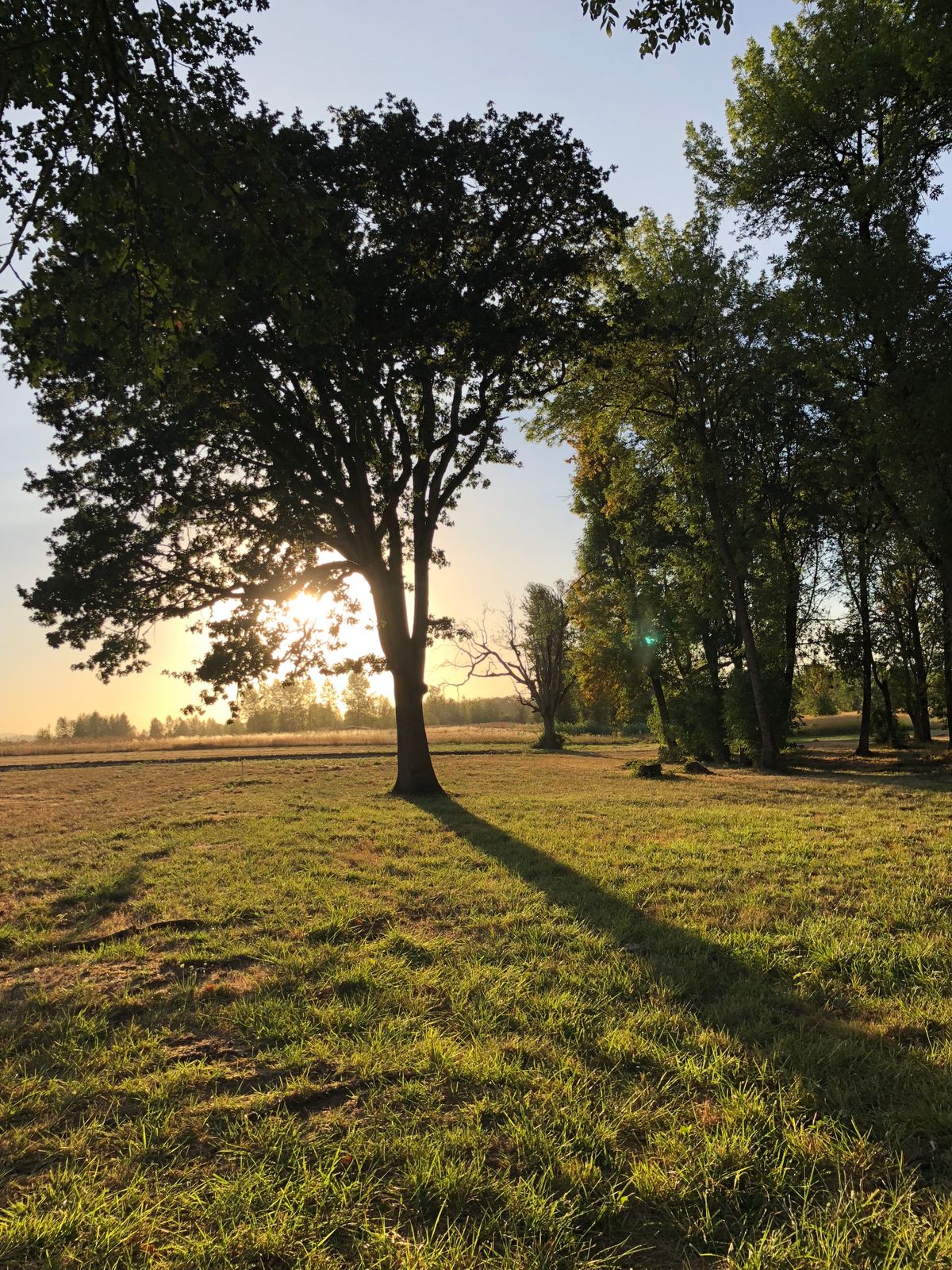Hole 15