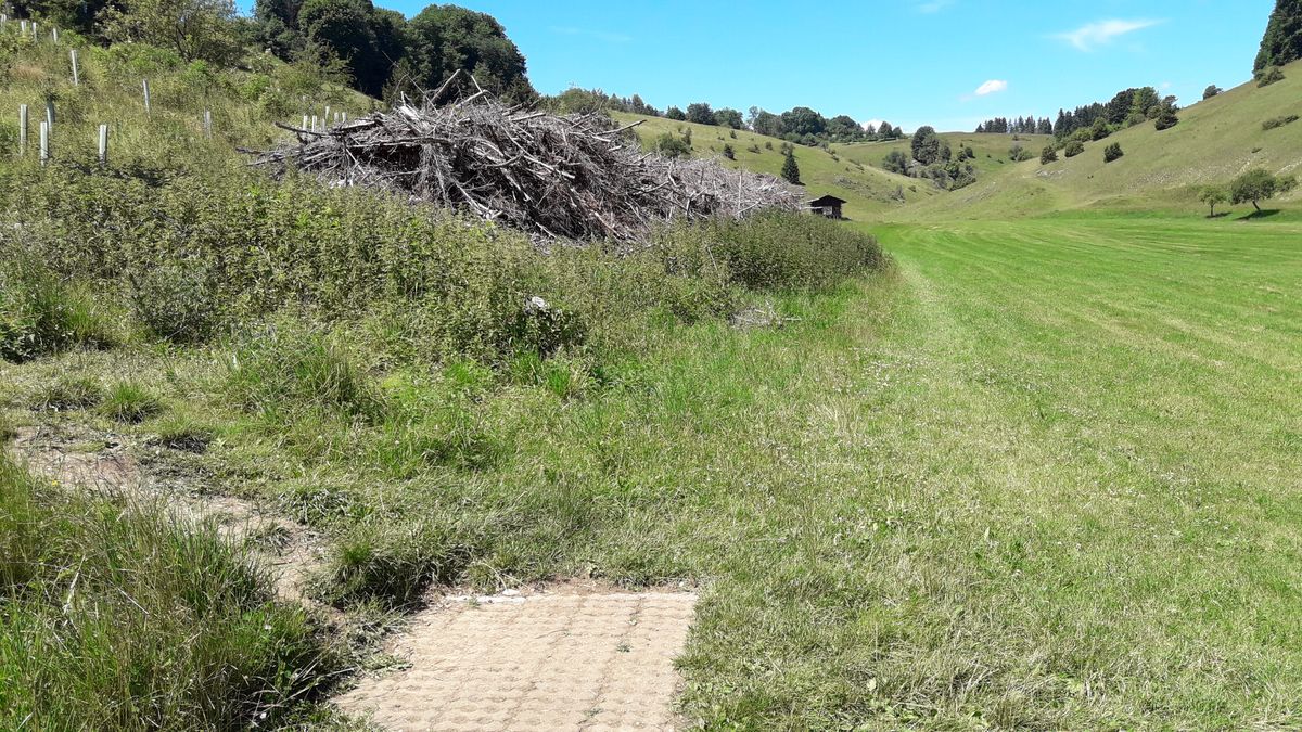 Hole 12 - dog leg left, the basket is behind the big pile, about 15 m behind its end