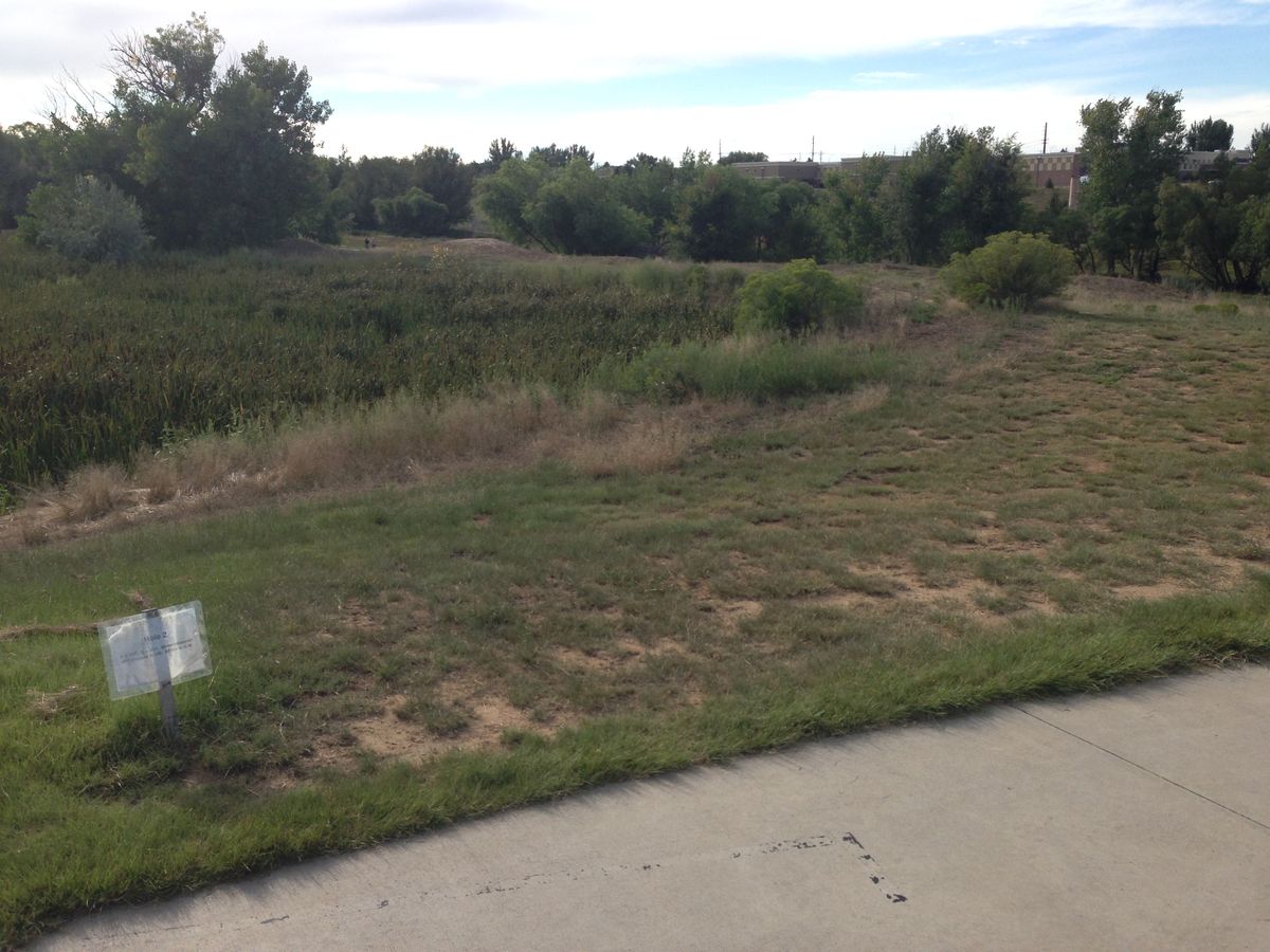 Hole 2