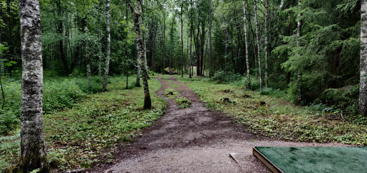 Hole 2 tee
