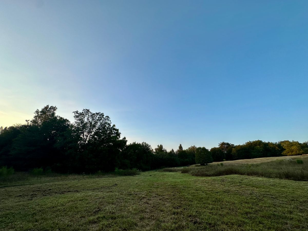 From Landing Zone
To Tee
