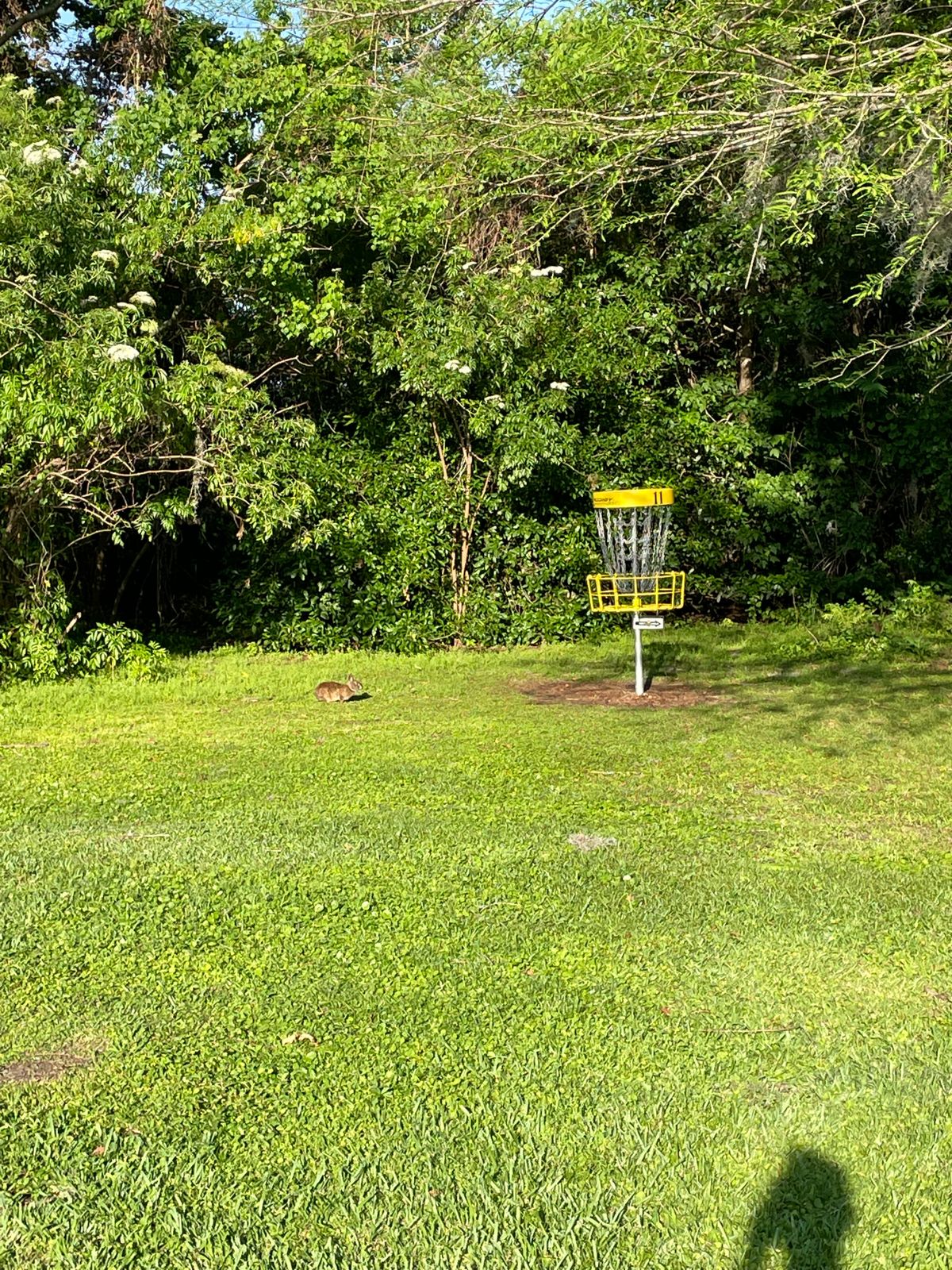 Hole 11