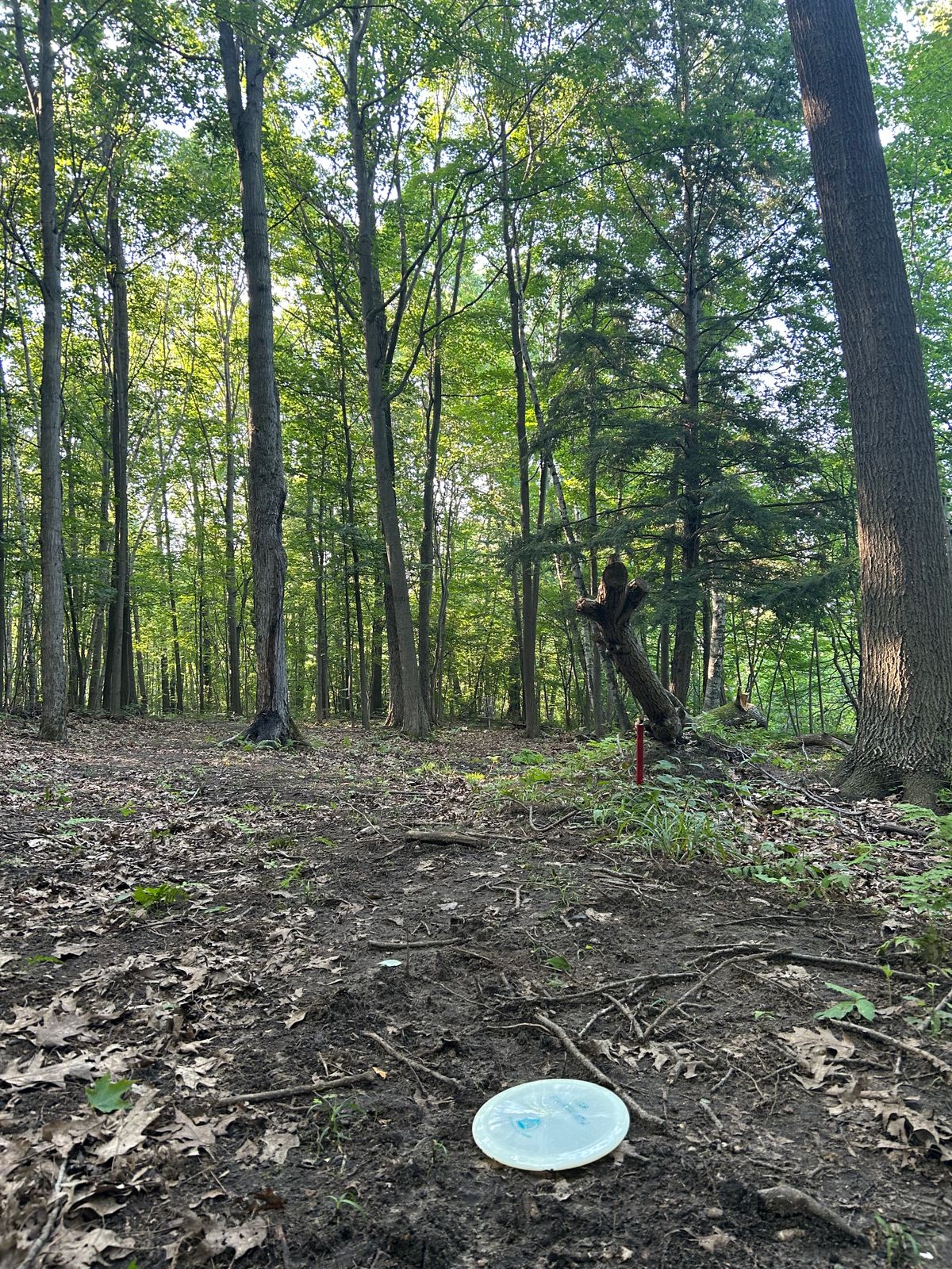 Hole 11 Approaching the green