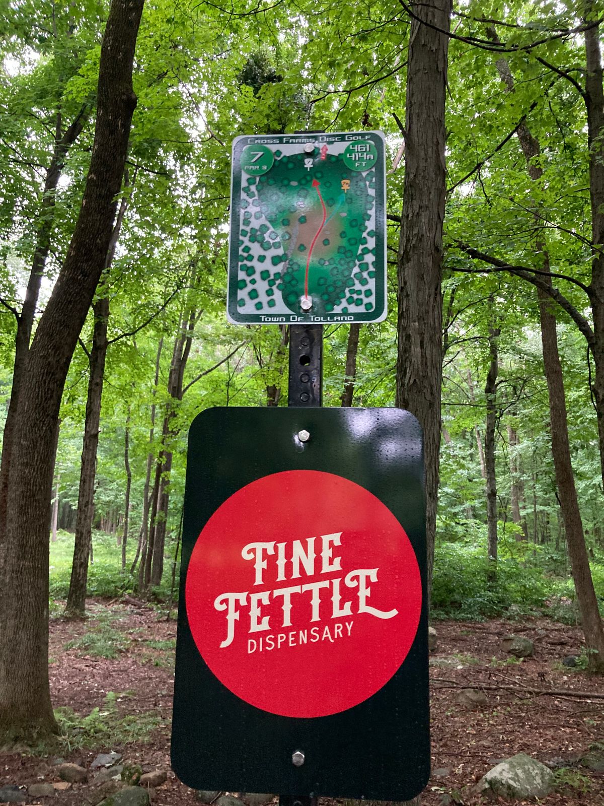 Hole 7. Reg 7 is a long par 3; Alt 7 is a fair par 3.