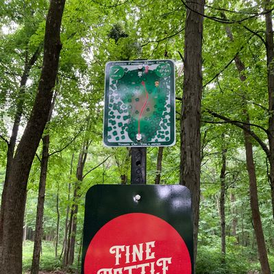 Hole 7. Reg 7 is a long par 3; Alt 7 is a fair par 3.