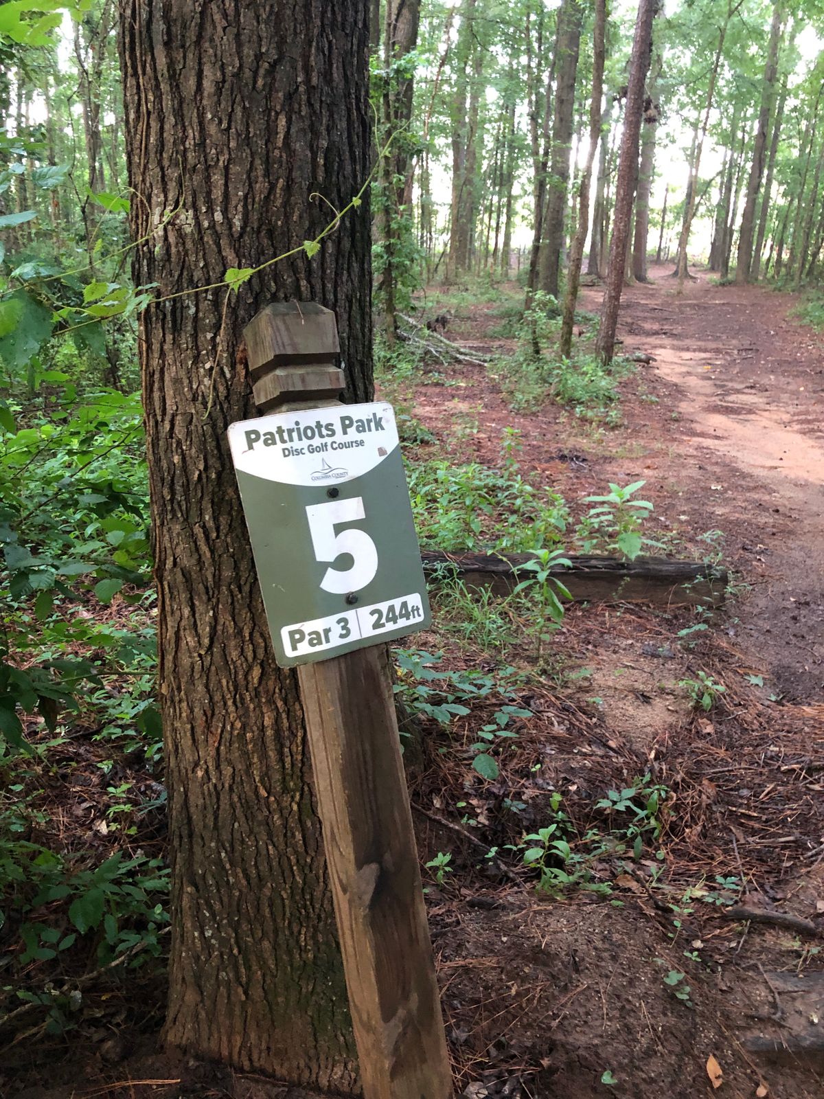 5 sign leaning against tree due to hurricane damage.