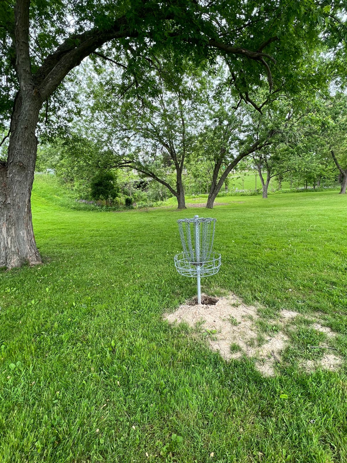 Hole 9 basket