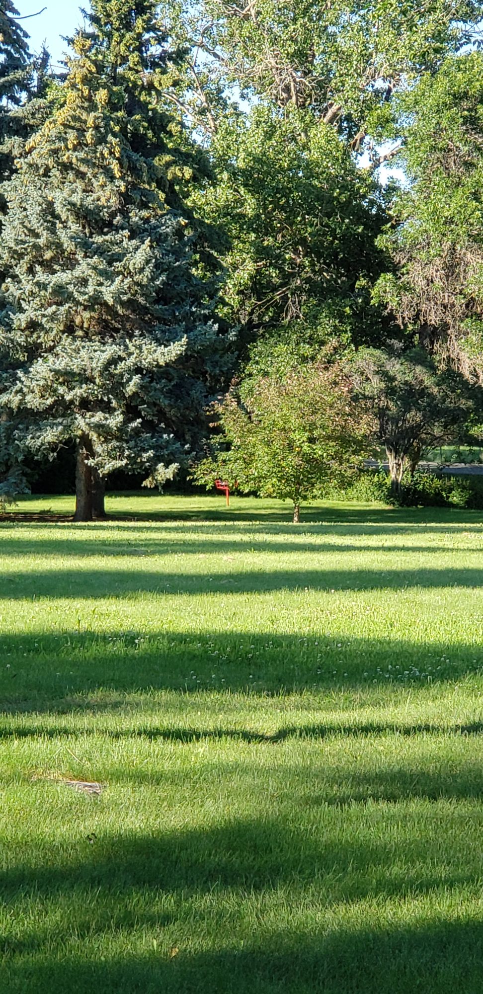 hole 17 basket