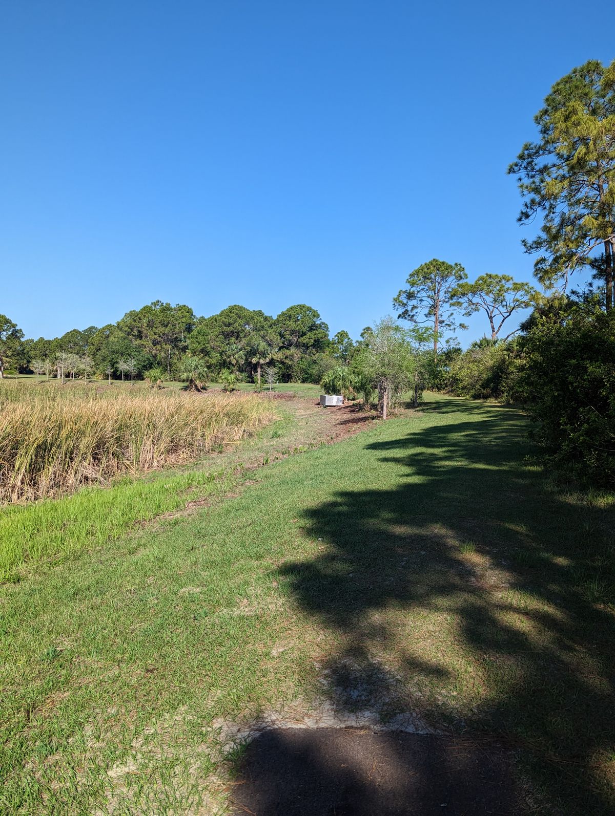 Hole 5 Long Tee
