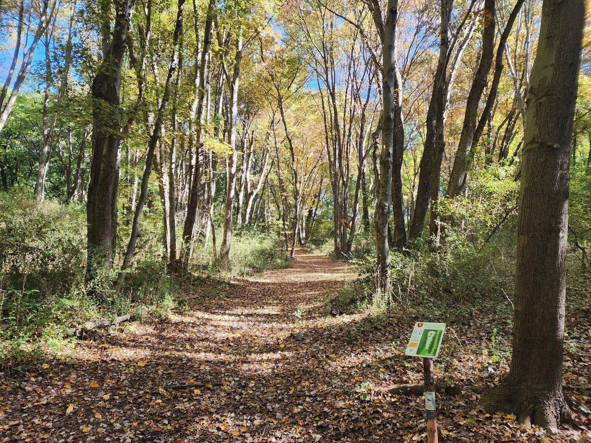 Hole 13 in August
