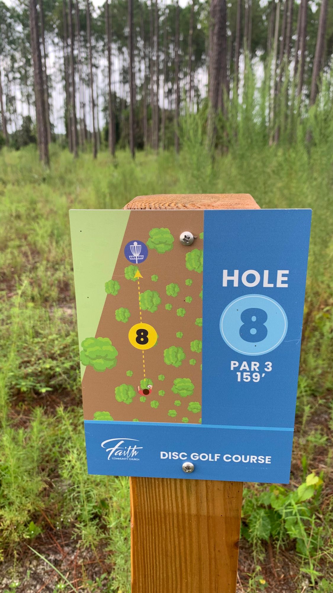 Hole 8