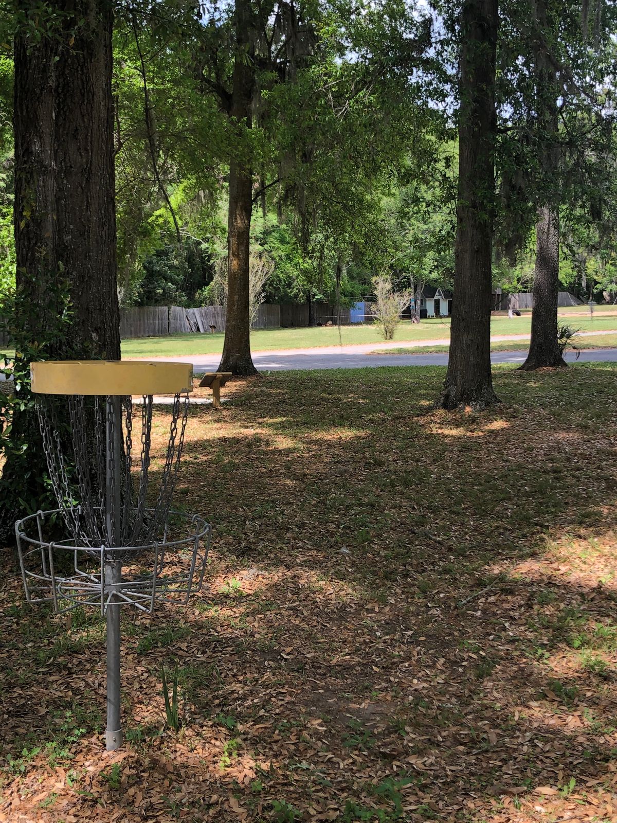 Hole 7, basket to tee