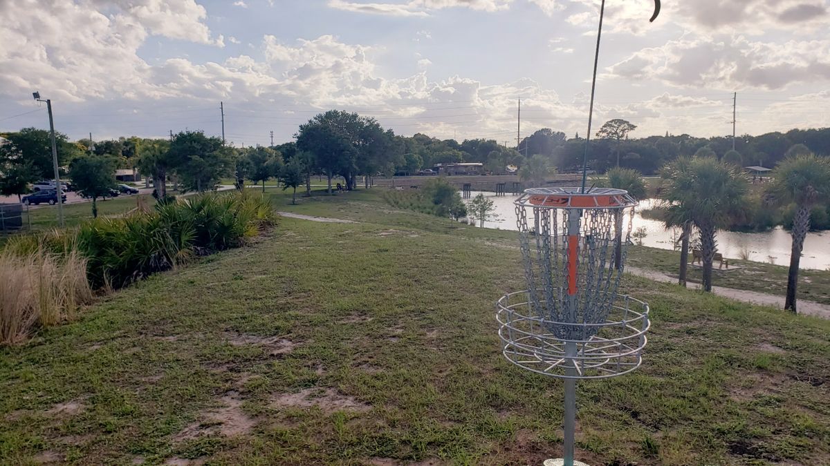 Hole 15 - view from basket