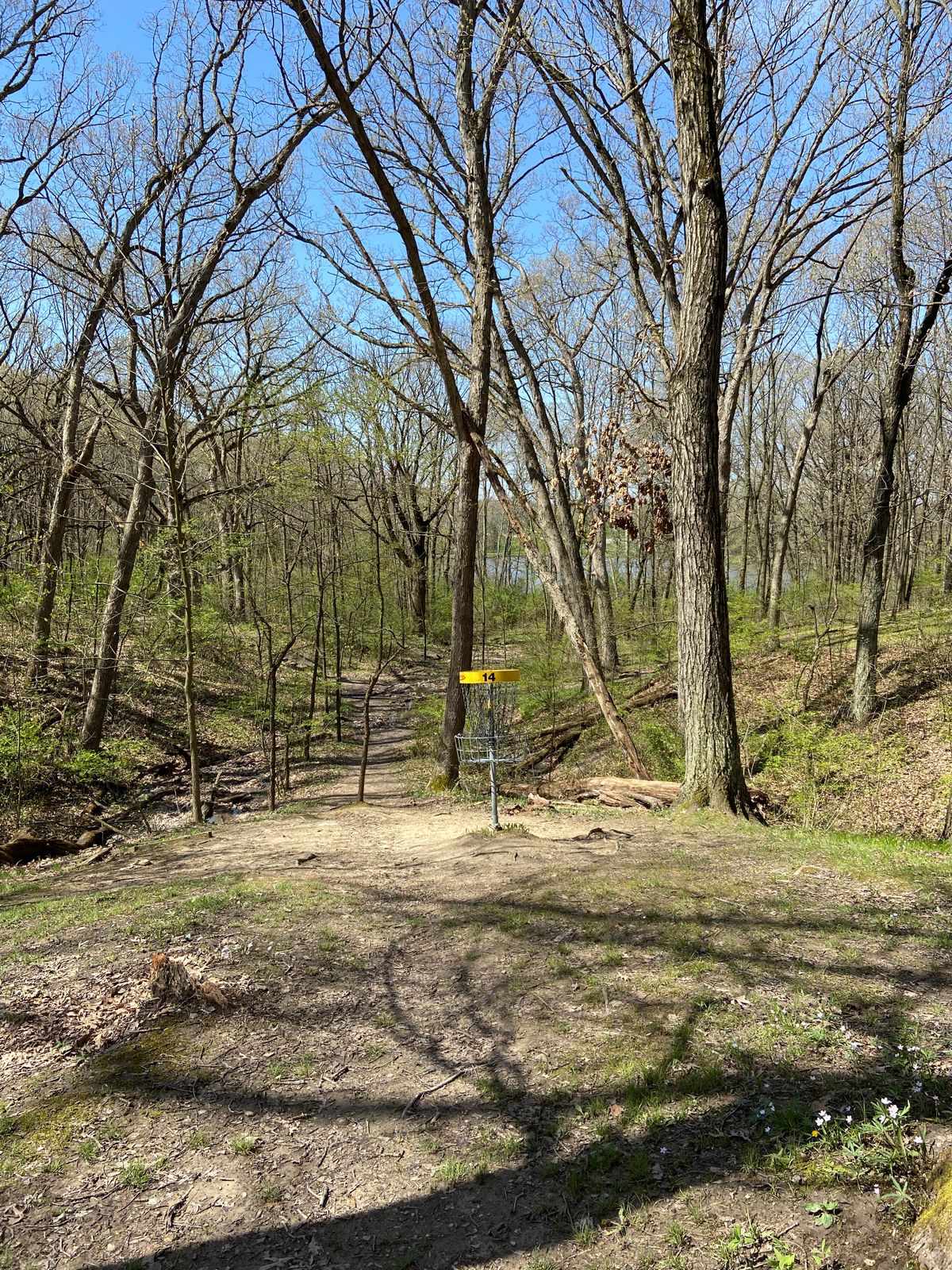 Looking at the downhill slope after the pin.