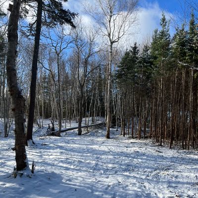 6 tee box