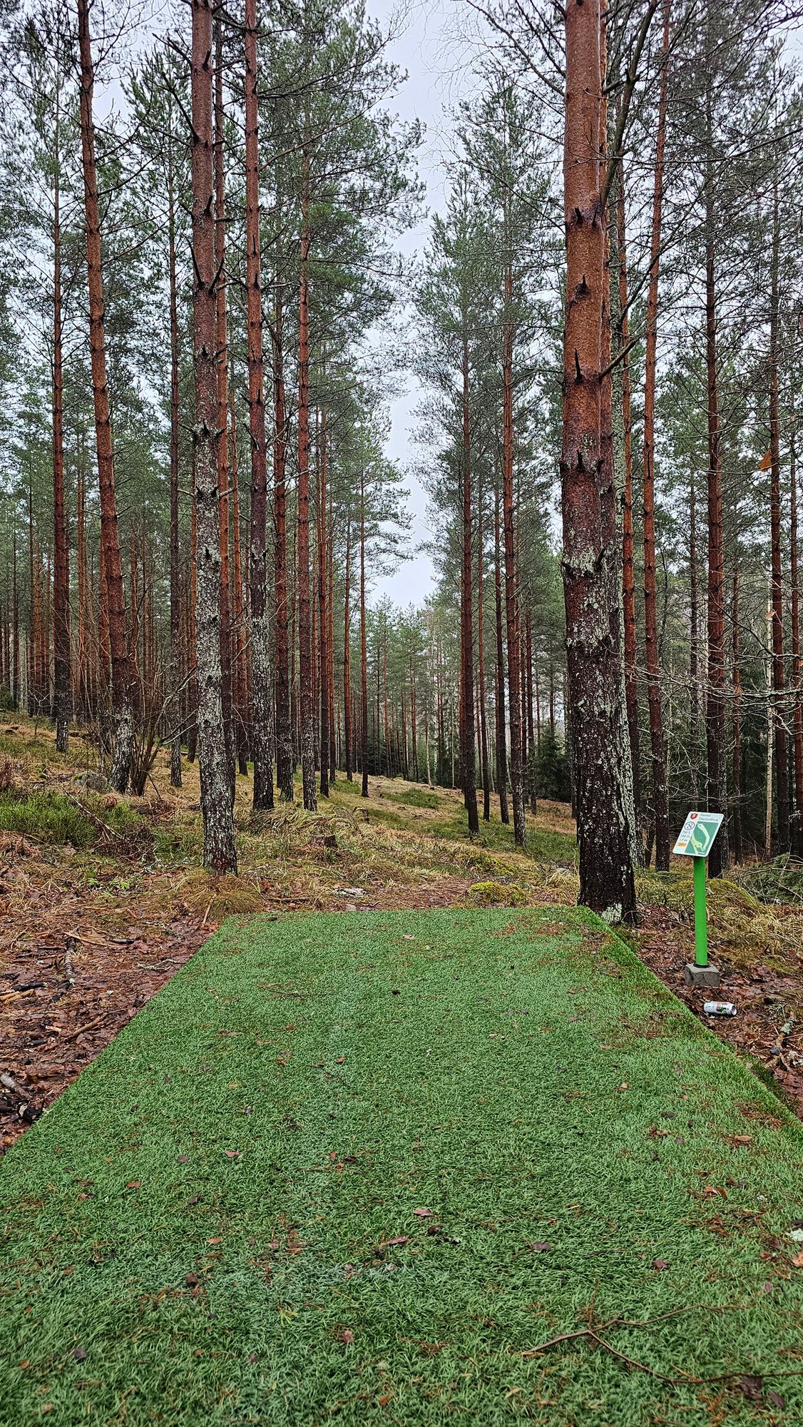 Väylä 8