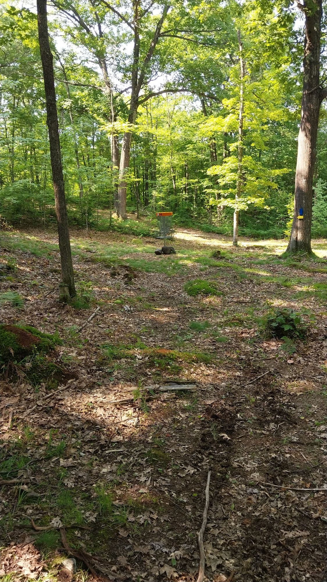 Hole 14 long