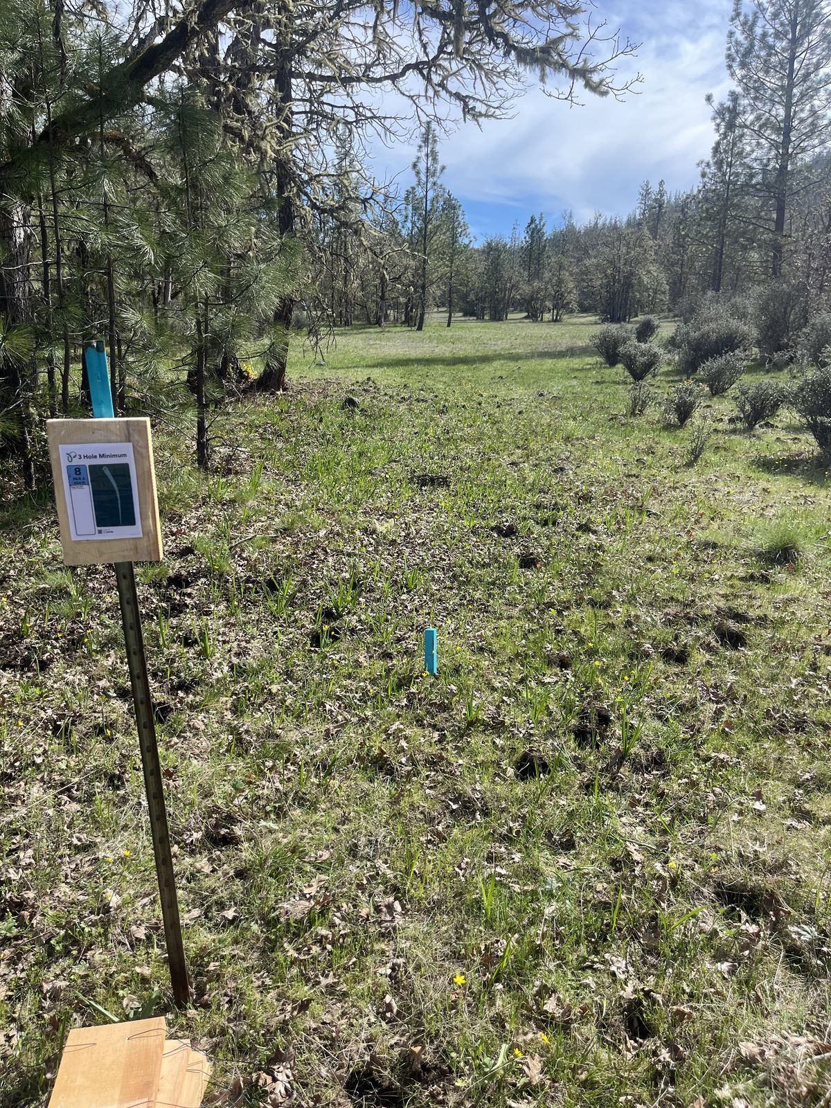 Tee Box 8 for "Buck 9"